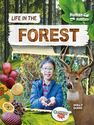 cover image of Life in the Forest